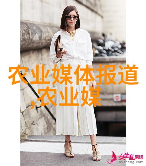 丰收佳肴水果籽的艺术园艺