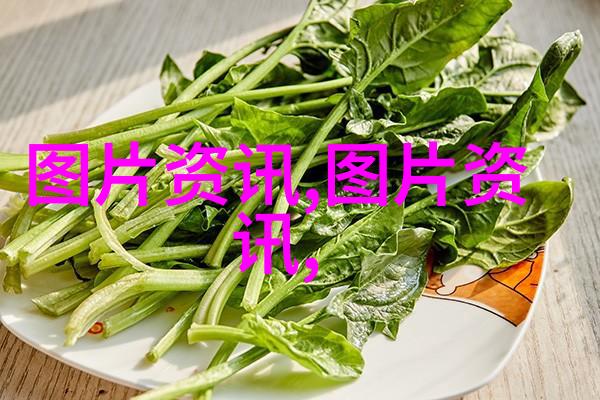 农业公司规划发展计划书-耕耘未来创新驱动的农业企业战略升级