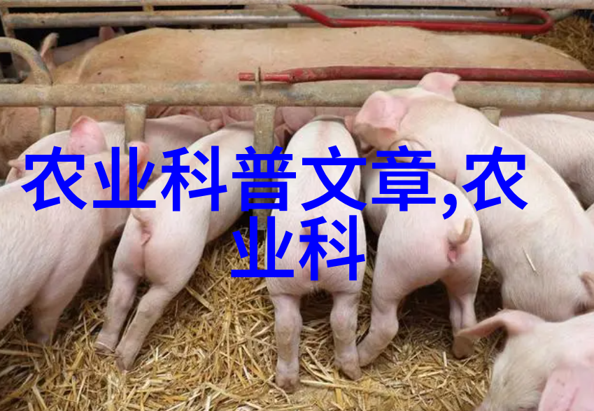 探索好茶的独特魅力品质与艺术的完美融合