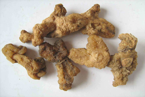 丰饶之果种子中的未来
