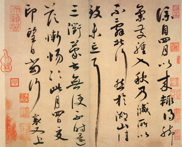 最赚钱的种植项目金钱豹头花的奇迹