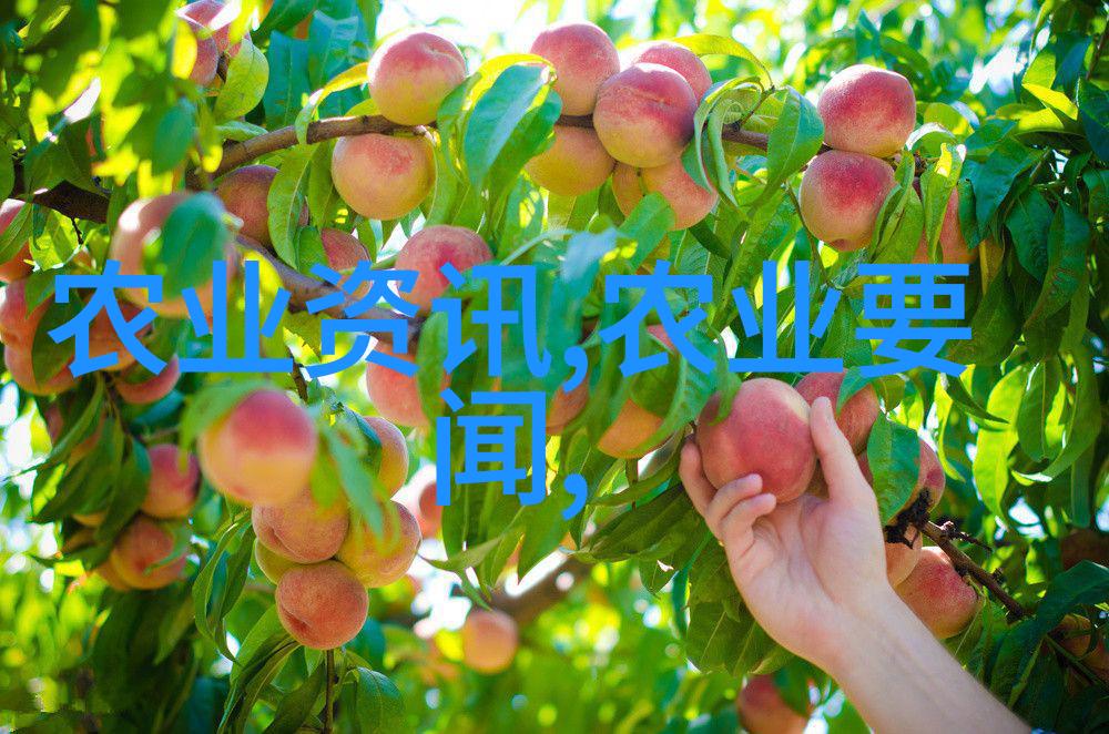 盆栽花卉大全 - 绿意盎然的室内园艺探索与选择最适合你家的盆栽花卉