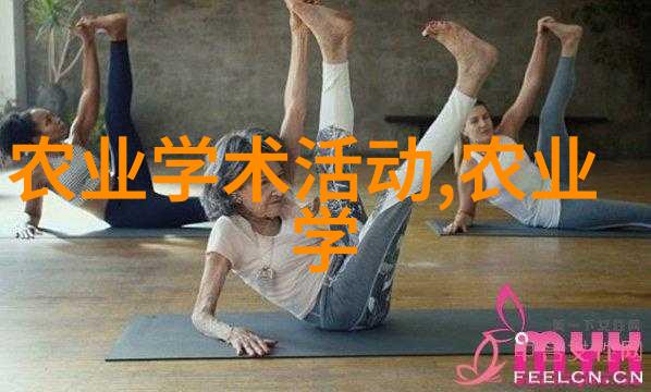 养蜂生活感悟自然与和谐的共生