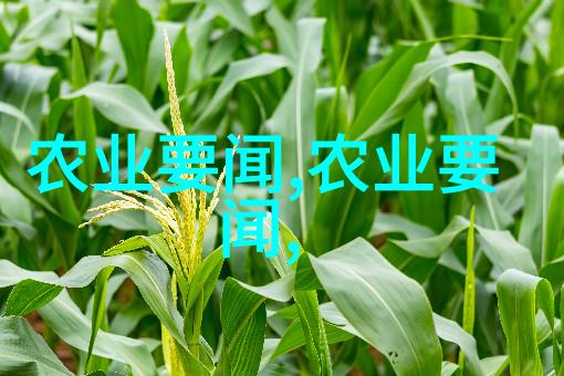 工厂化养殖模式下的现代鱼池建设新趋势