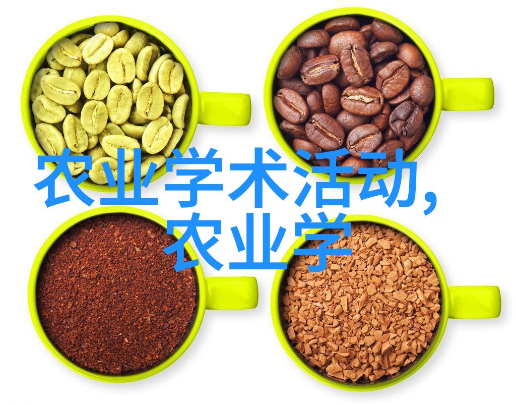 种植室内花卉需要注意哪些关键因素