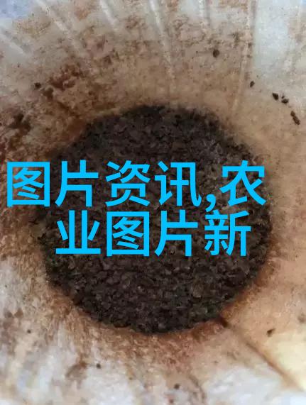 无土栽培有机蔬菜我是如何在小区里种出健康蔬菜的