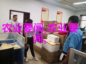 蜜蜂放在什么地方养最好我是怎么找到的那片甜蜜田地