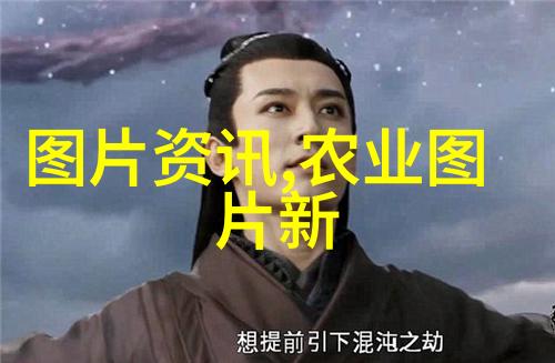 冬日的守护者哪些花卉能在严寒中绽放