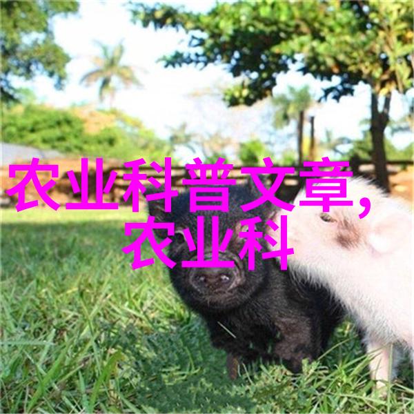 爱情岛论坛亚洲免费路线一探索亚洲之恋的无限可能