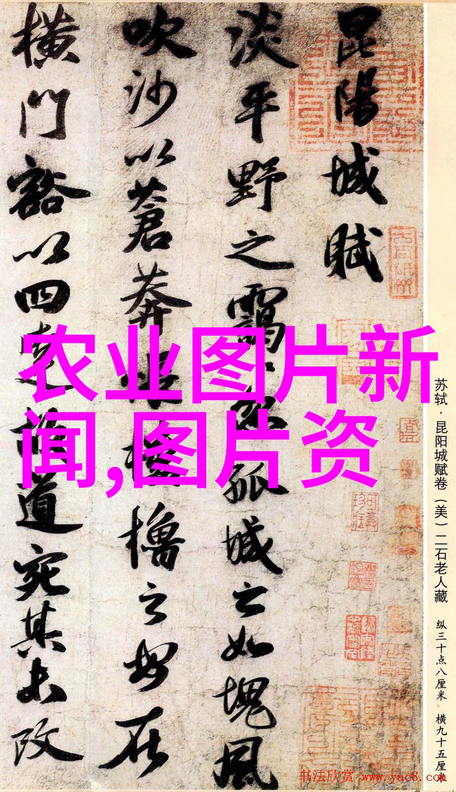 绿茵蔬菜国度未来农业的智慧种植场景