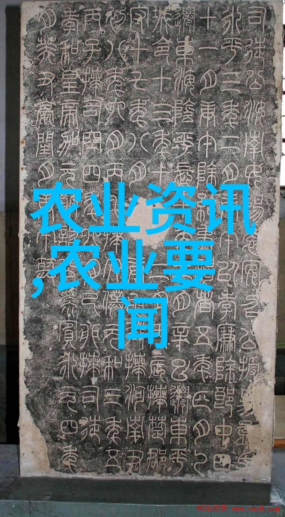 新一轮防疫大动员全民核酸再起浪潮来袭