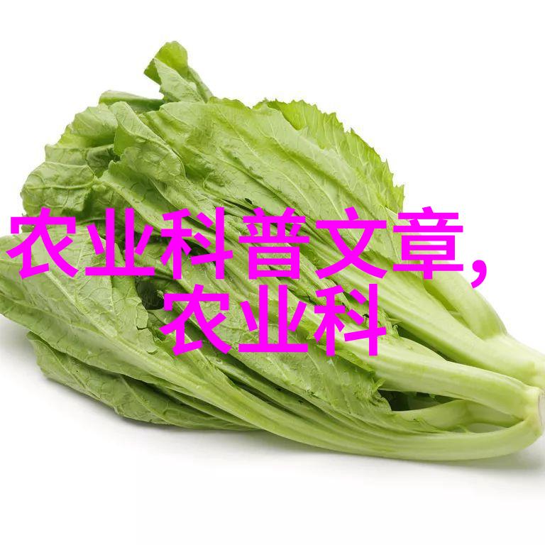 多年生草本植物我家的那棵老朋友