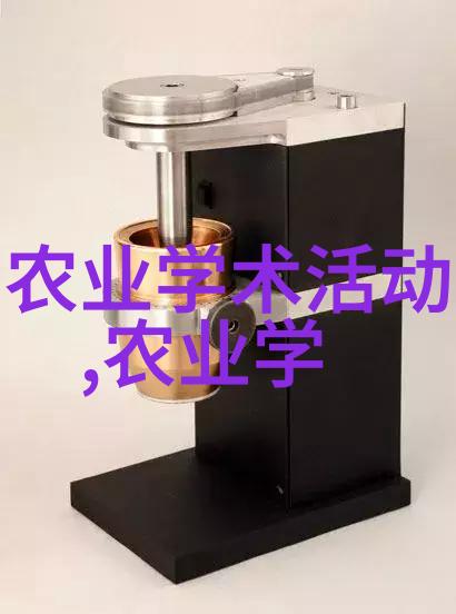 春日小院中的生菜盛宴