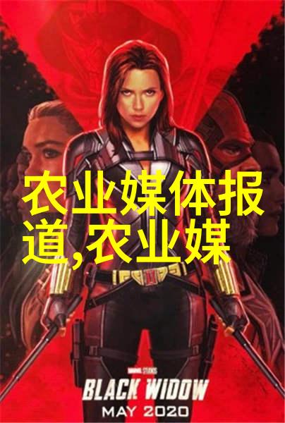品一壶悟千年好茶的秘密之味