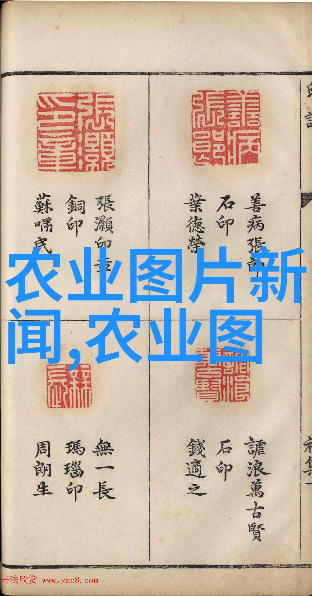 茶文化的概念-品味悠久探索茶文化的深邃之美