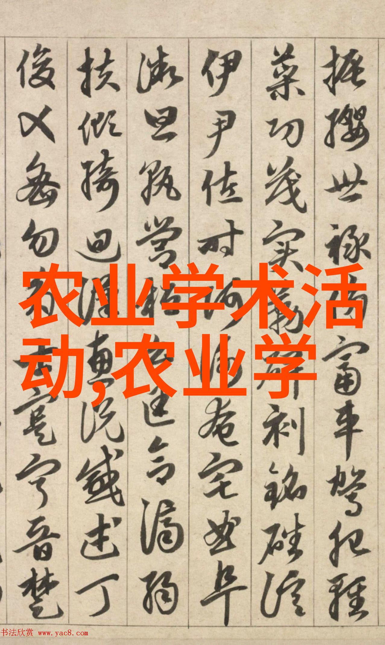 水果籽图鉴揭秘它们的另一个生活