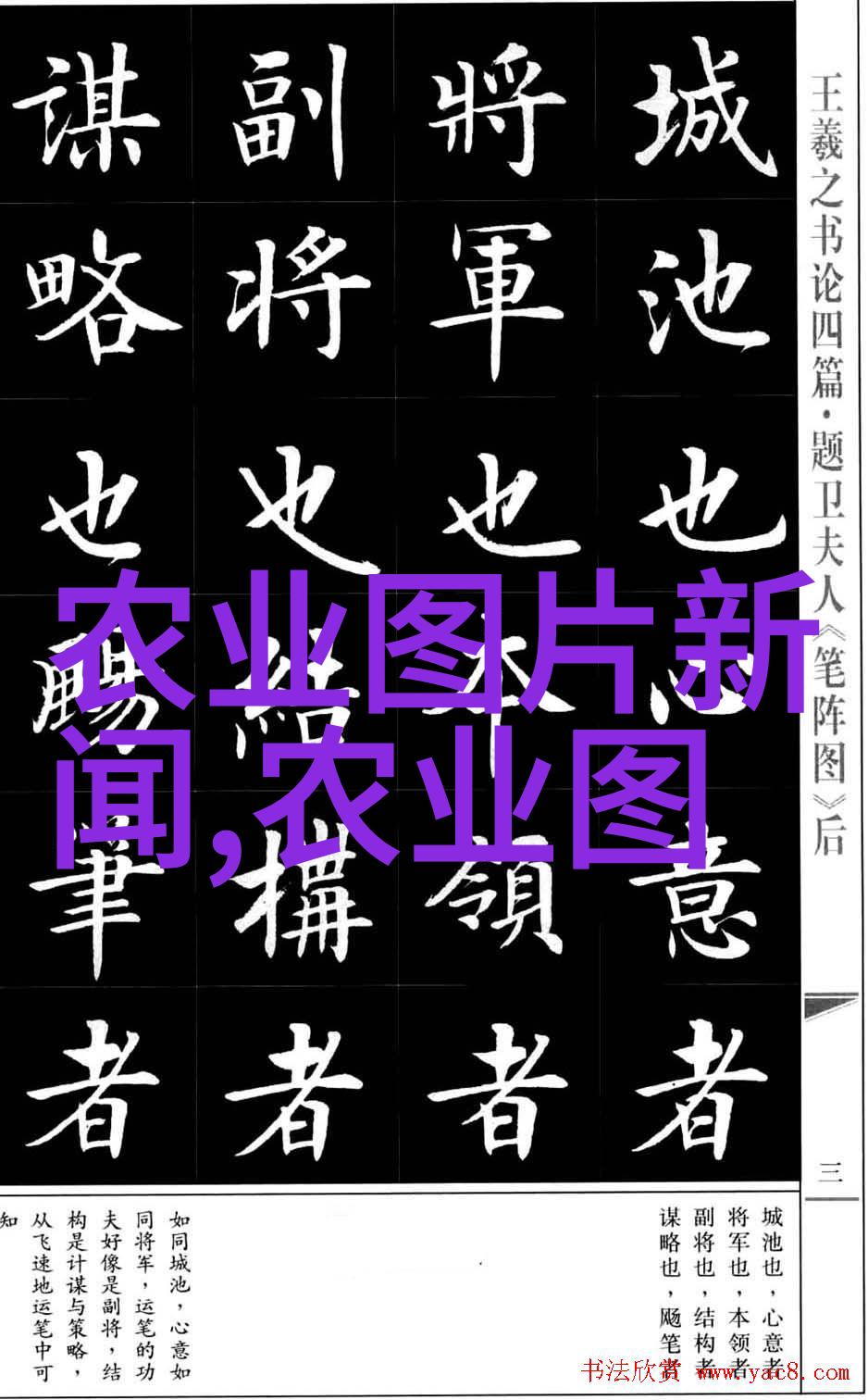 2023年高收益养殖项目推荐生态可持续养殖模式