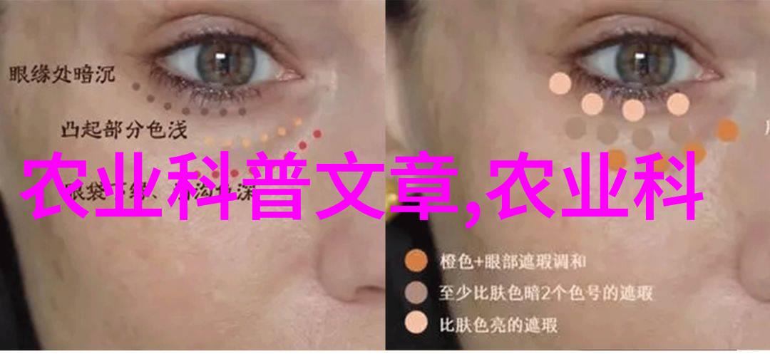 在不同气候条件下稻谷烘干机是否需要特殊设计或操作方式