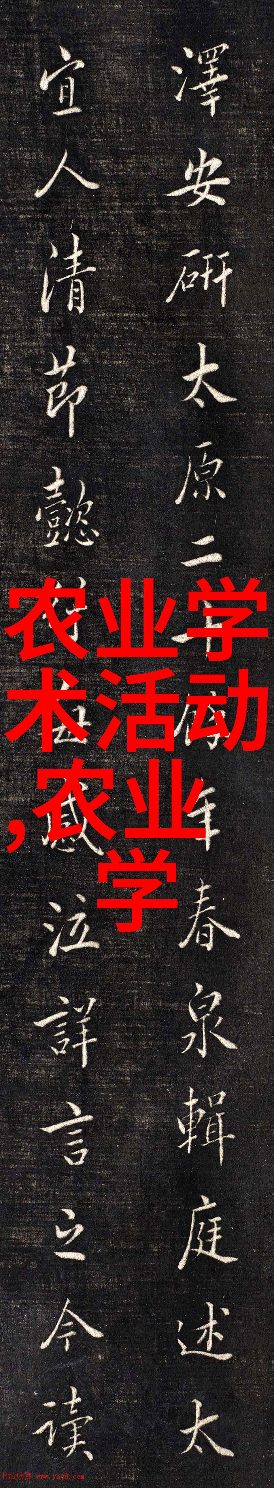 诱惑甜蜜揭秘如何巧妙引诱别人家蜜蜂