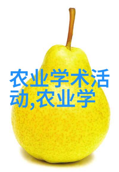 茶花养护茶花的生长秘诀与养护技巧