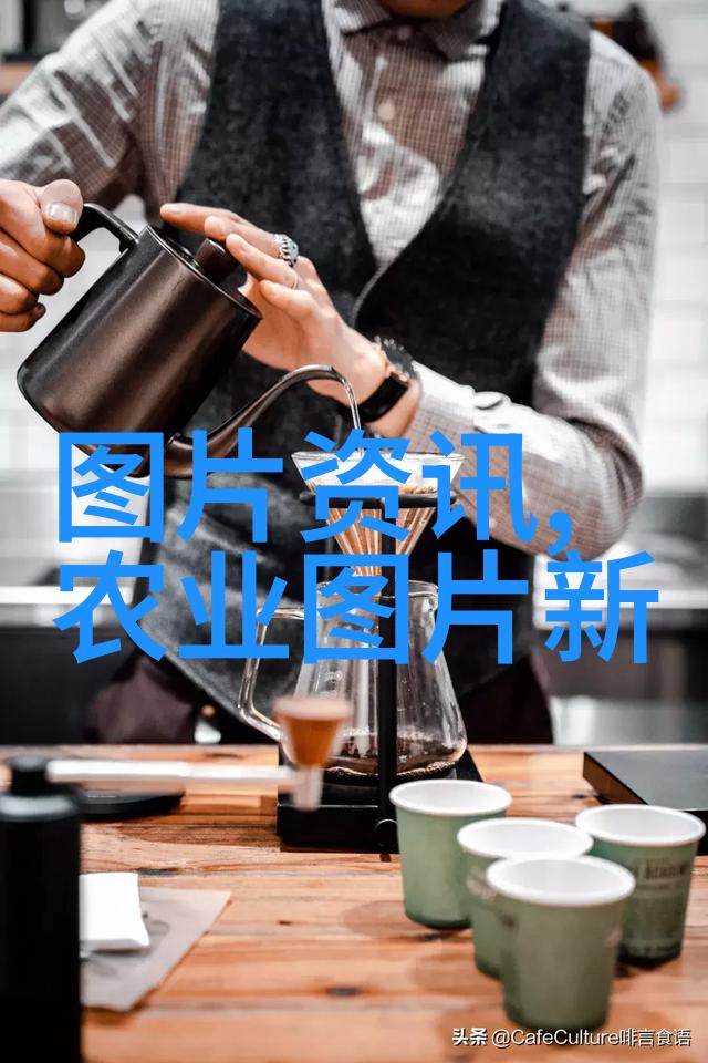 庭院-选择合适的花木如何打造美观且生态友好的庭院景观