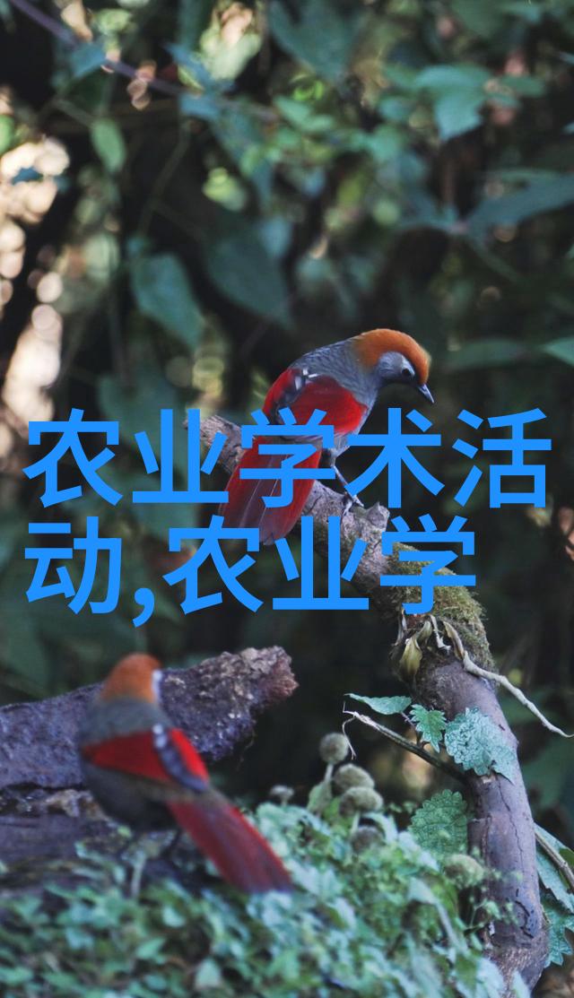 种花种子的方法步骤从选择适合的植物到播种的全过程