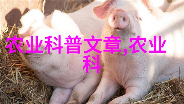 农民日报记录乡村振兴的正能量