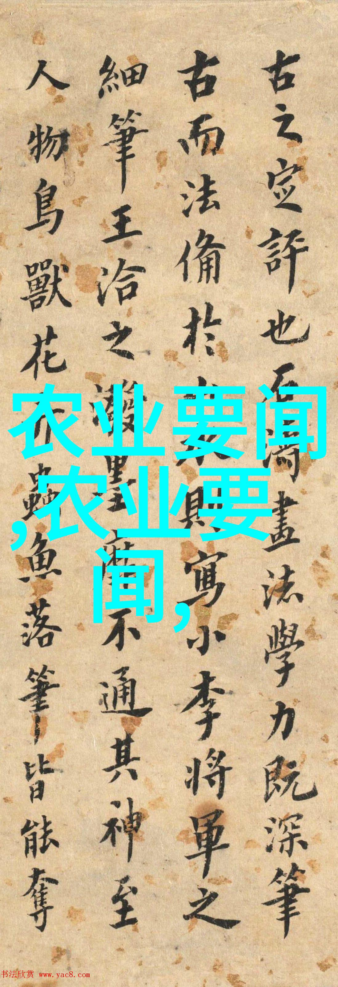 主题我来教你怎么养泥鳅吧快看这视频