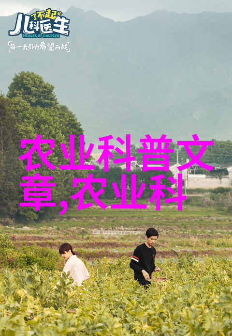 人工手动插秧机农业机械化的温柔助手