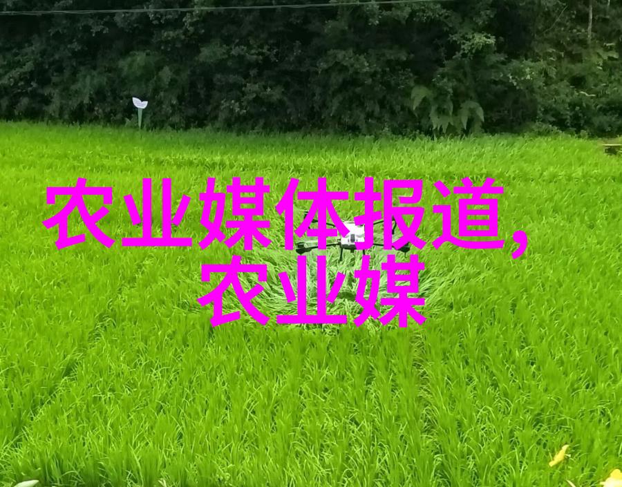 药材赚钱秘籍哪些珍稀草本让富翁发家