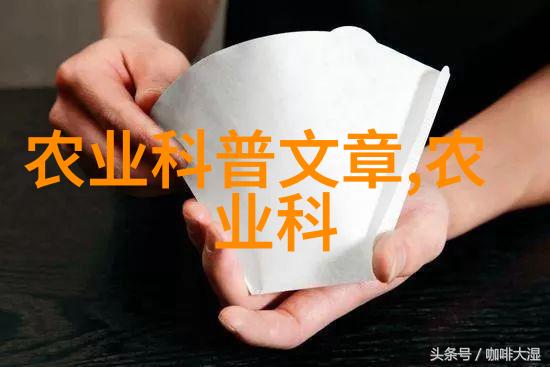 花朵语言通过植物传达情感与信息的艺术方法
