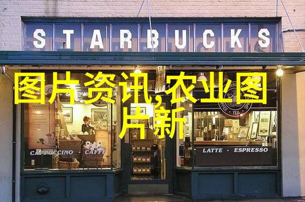 虚拟书架上的故事无删减全文免费阅读的奇迹
