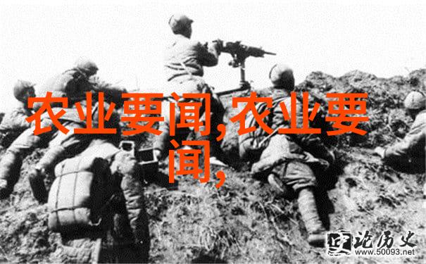 全国最大牛蛙养直地址揭秘蛙中之王的豪宅生活