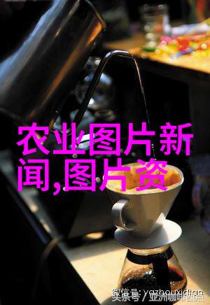 药材百科 - 草本医药与中药材的秘密世界