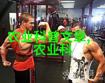 家用玉米棒输送机链条安装指南