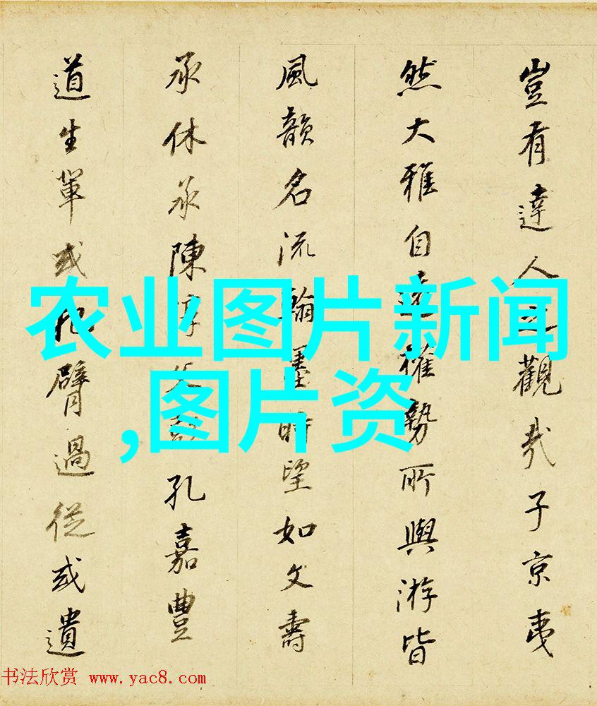 羊的繁殖秘密多胎宝宝背后的饮食密码