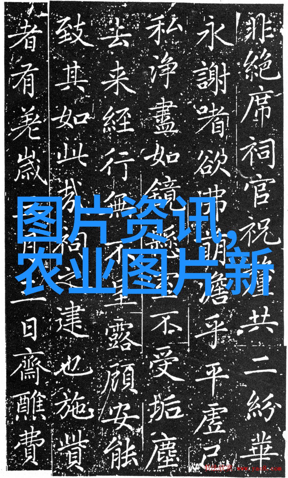 国家扶持的种植项目汇总绿色发展引领农业未来