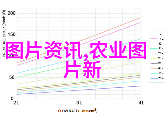 打造财务自由之路从哪里开始深入分析最可观收成的农作物
