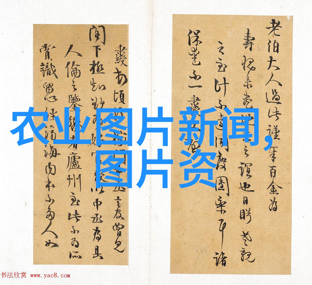 绿色生活智慧之选了解不同季节适宜栽培的瓜果蔬菜及其对健康益处