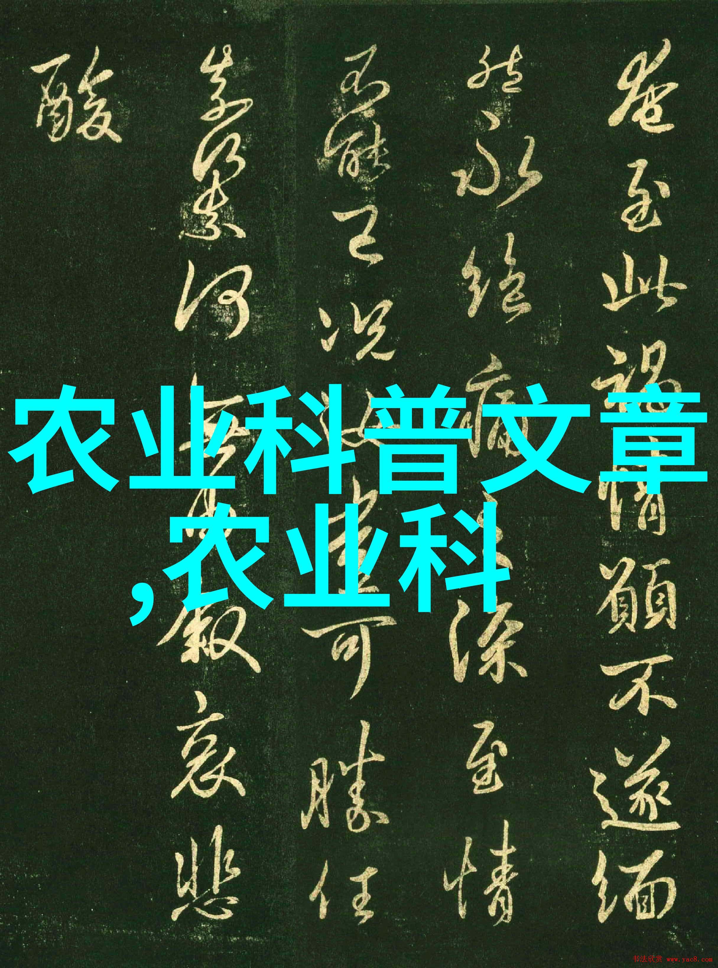 绿意盎然最新蔬菜资讯与养护技巧全解析