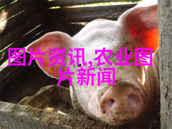 农业科普活动_农业科普知识宣传材料_关于农业科普知识的活动