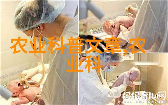 中药材市场交易网保障质量促进健康生活方式