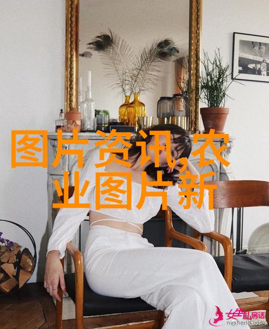 阳台最旺宅的植物引领绿意盎然的家居美学