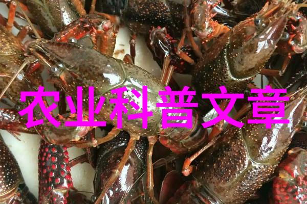 农业学术活动_学术农业活动包括哪些_农学活动有什么