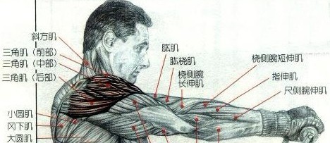 未来10大暴利种植蔬菜从贫瘠土壤到金山般的收获