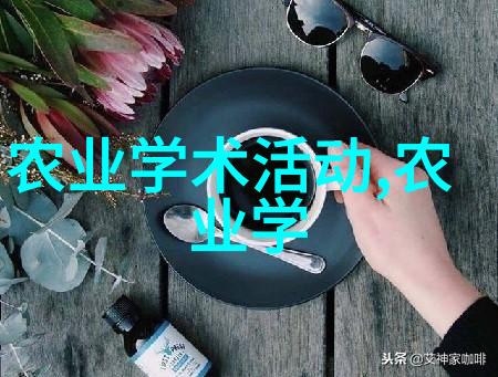 榨油机的秘密揭开传统工艺与现代技术的面纱