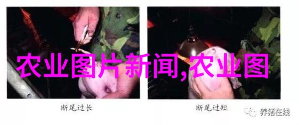 休闲农业与乡村旅游 - 田园风光里的健康生活探索休闲农业与乡村旅游的魅力