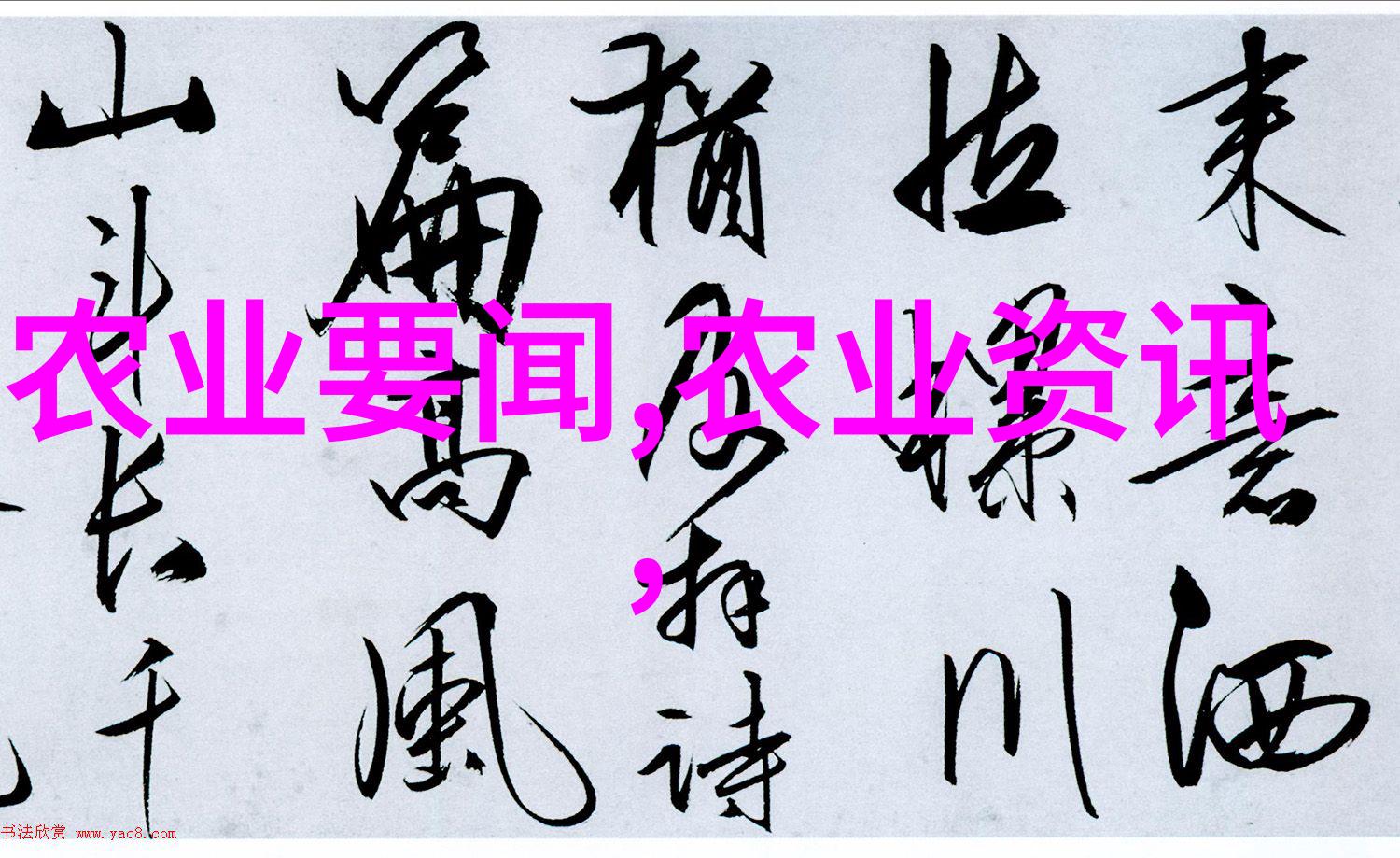 醉琼枝狂上加狂我是如何在酒吧里和陌生人一起疯狂跳舞的