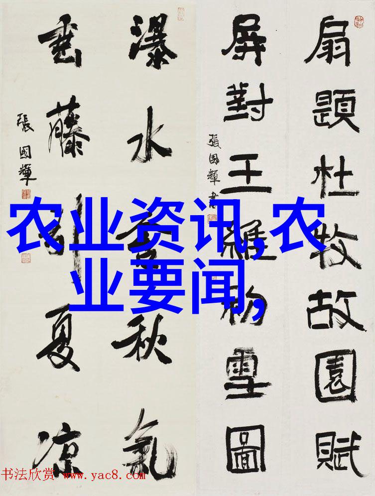 学长背后的作业一段温暖的学习时光