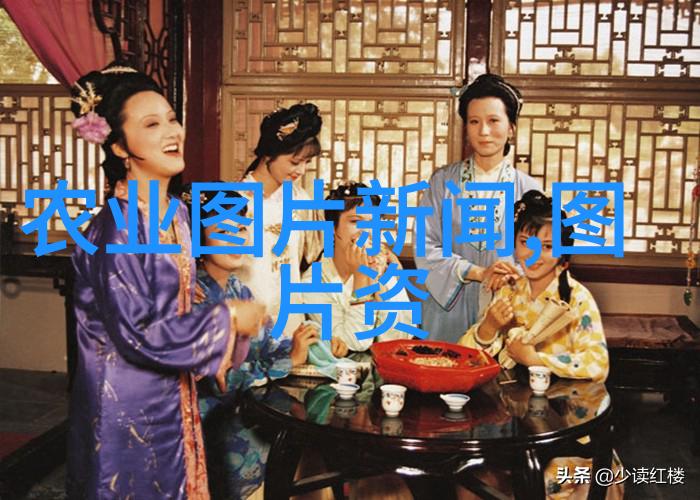 春季花园的美妙启程一本播种指南